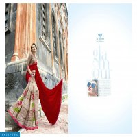 Triveni Hirni Wholesale Ethnic printed Sarees