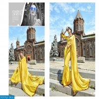 Triveni Hirni Wholesale Ethnic printed Sarees