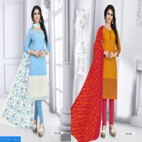 Shree Vishnu Dhadak Vol-2 Wholesale Fancy dresses