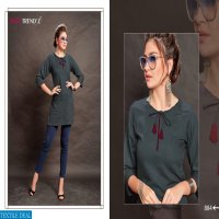 Rani Trendz Show Time vol-2 Wholesale Ready made Tops