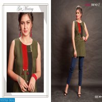 Rani Trendz Show Time vol-2 Wholesale Ready made Tops