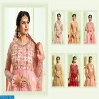 Mrigni vol-6 Wholesale Designer Anarkali Dress