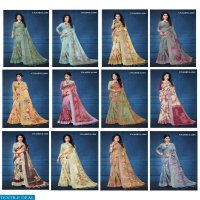 Aasvaa Aishwarya Wholesale Ethnic Saree Blouse