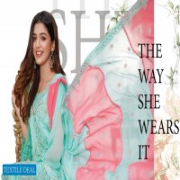 Bin Hameed Anchal Wholesale Branded Pakistani Dress