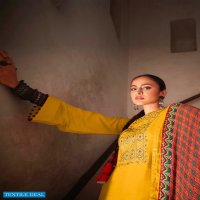 Deepsy Patola Wholesale FIne Silk With Work Dress