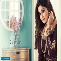 Aashirwad Gulnar Wholesale Free Size Designer Salwar Kameez
