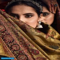 Varsha Ezra Wholesale Pure Velvet With Embroidery Salwar Kameez