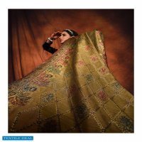 Varsha Ezra Wholesale Pure Velvet With Embroidery Salwar Kameez