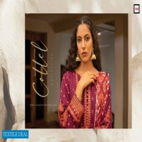 LSM Lakhany Winter Embroidered Collection Vol-1 Pakistani Dress