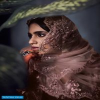 Varsha Alishq Wholesale Pure Velvet With Embroidery Salwar Kameez