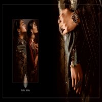 Tana Bana Nilgiri Vol-2 Wholesale Fancy Silk Sarees