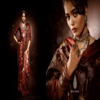 Tana Bana Nilgiri Vol-2 Wholesale Fancy Silk Sarees