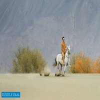 Asim Jofa Shehr R Yaar 2022 Wholesale Luxury Pakistani Dress