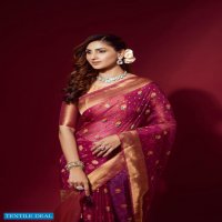 RAJPATH AMULY ORGANZA SILK FANCY SAREES COLLECTION