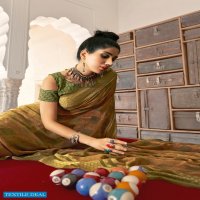 Vallabhi Sariska Wholesale Georgette Viscose Border Indian Sarees