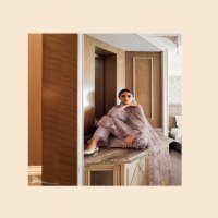 Varsha Softhues Wholesale Viscose Organza With Hand Work Designer Salwar Suits