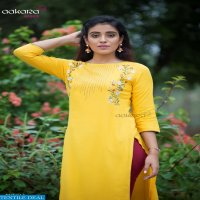 Aakara Basics Vol-10 Wholesaler And Dealer Long Kurtis