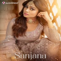 Aashirwad Sanjana Wholesale Shopping Butterfly Net Designer Suits