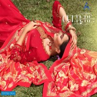 Alisa Gulal Wholesale Straight Long Ethnic Salwar Kameez