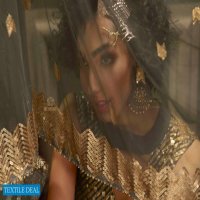 Arya Noorani Saga Vol-2 Wholesale Festive Salwar Kameez