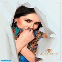 BALAJI COTTON KANIKA FANCY WORK PRINTED DRESS MATERIALS WHOLESALER