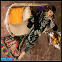 Binilyas Winter Luxury Collection Wholesale Pakistani Catalog