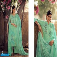 Glossy Simar Paris Wholesale Indian Casual Salwar Kameez