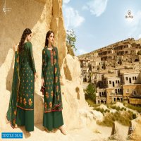 Hansa Kanchi navya Wholesale Casual Salwar Suits