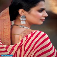 Kashvi Sadguna Wholesale Georgette Indian Saree Blouse