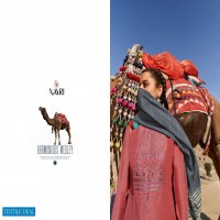 Naari Varisa Wholesale Parampara Silk Salwar Kameez