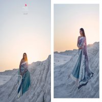 Rajtex Kasa Digital Japan Satin Crepe Saree Catalog