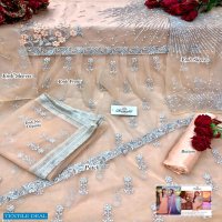 Ramsha Pari Wholesale Pakistani Concept Dress