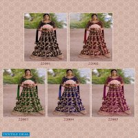 Senhora Fiza Vol-22 Wholesale Anarkali Salwar Kameez