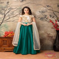 Twisha Aanaya Vol-25 Wholesale Anarkali Indian Dress