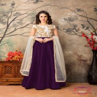 Twisha Aanaya Vol-25 Wholesale Anarkali Indian Dress