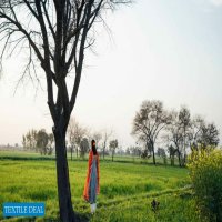 ZARA SHAHJAHAN LAWN 2021