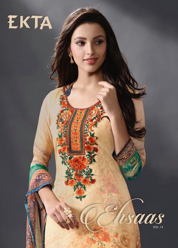 Ekta Ehsaas vol-14 Wholesale Ethnic Salwar kameez market