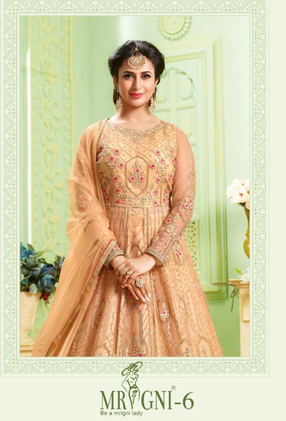 Mrigni vol-6 Wholesale Designer Anarkali Dress