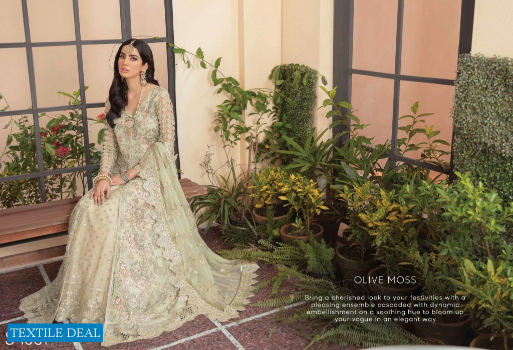 Serene Soiree wholesale Luxury Chiffon Embroidered Pakistani Dress