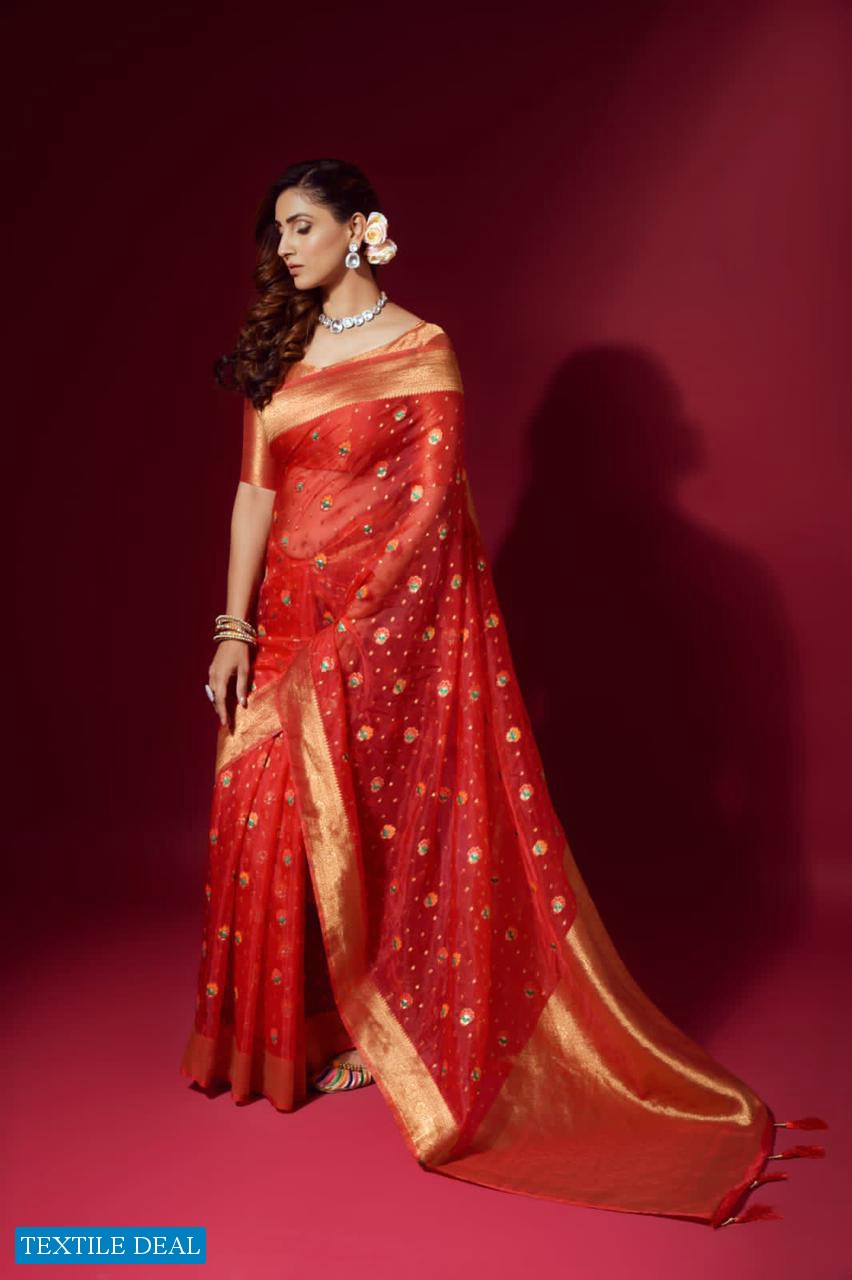 RAJPATH AMULY ORGANZA SILK FANCY SAREES COLLECTION