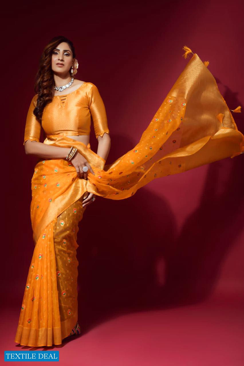 RAJPATH AMULY ORGANZA SILK FANCY SAREES COLLECTION