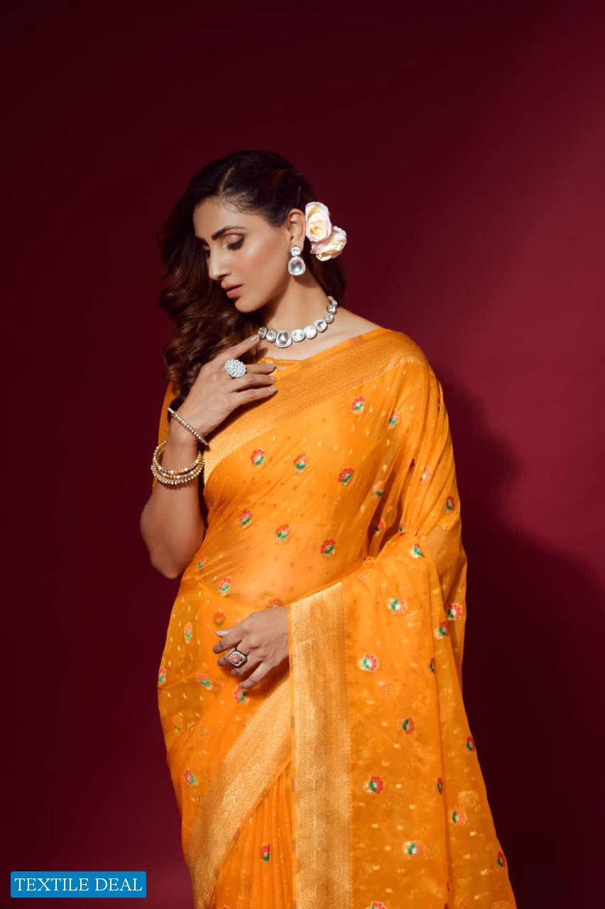 RAJPATH AMULY ORGANZA SILK FANCY SAREES COLLECTION