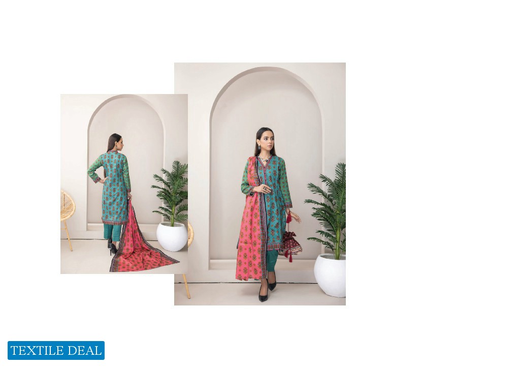 ZS Erum Misha Printed Lawn Collection Vol-2 2023 Wholesale Pakistani Suits