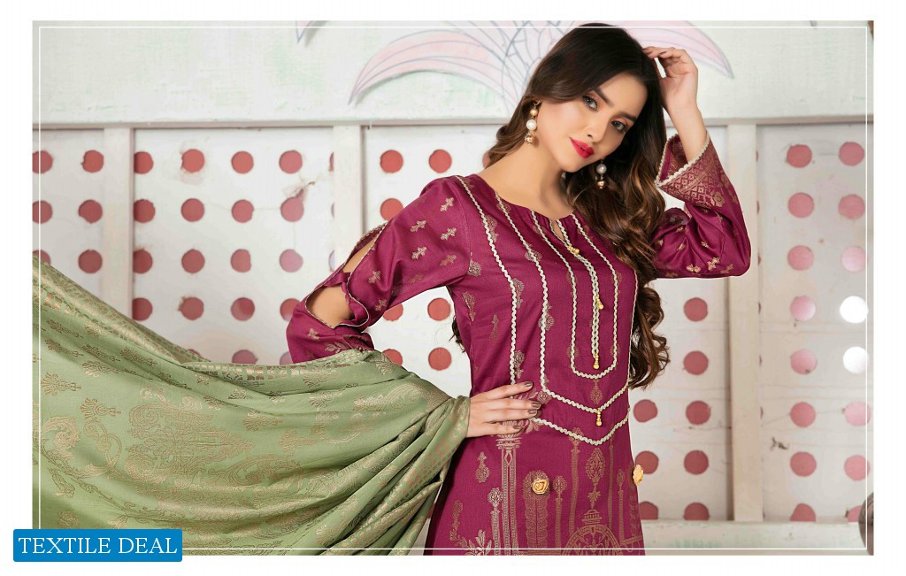 Amna Sohail Versilia Banarasi Wholesale Pakistani Catalog