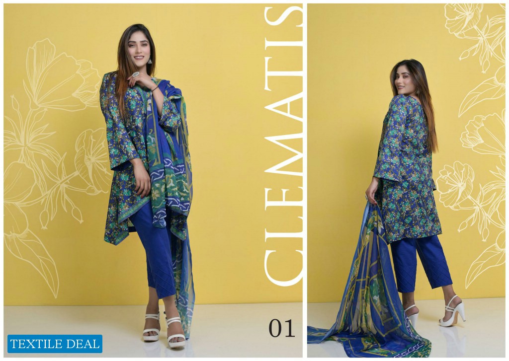 Halima Sultan Embroidered Lawn Collection 2021 Wholesale Pakistani Dress