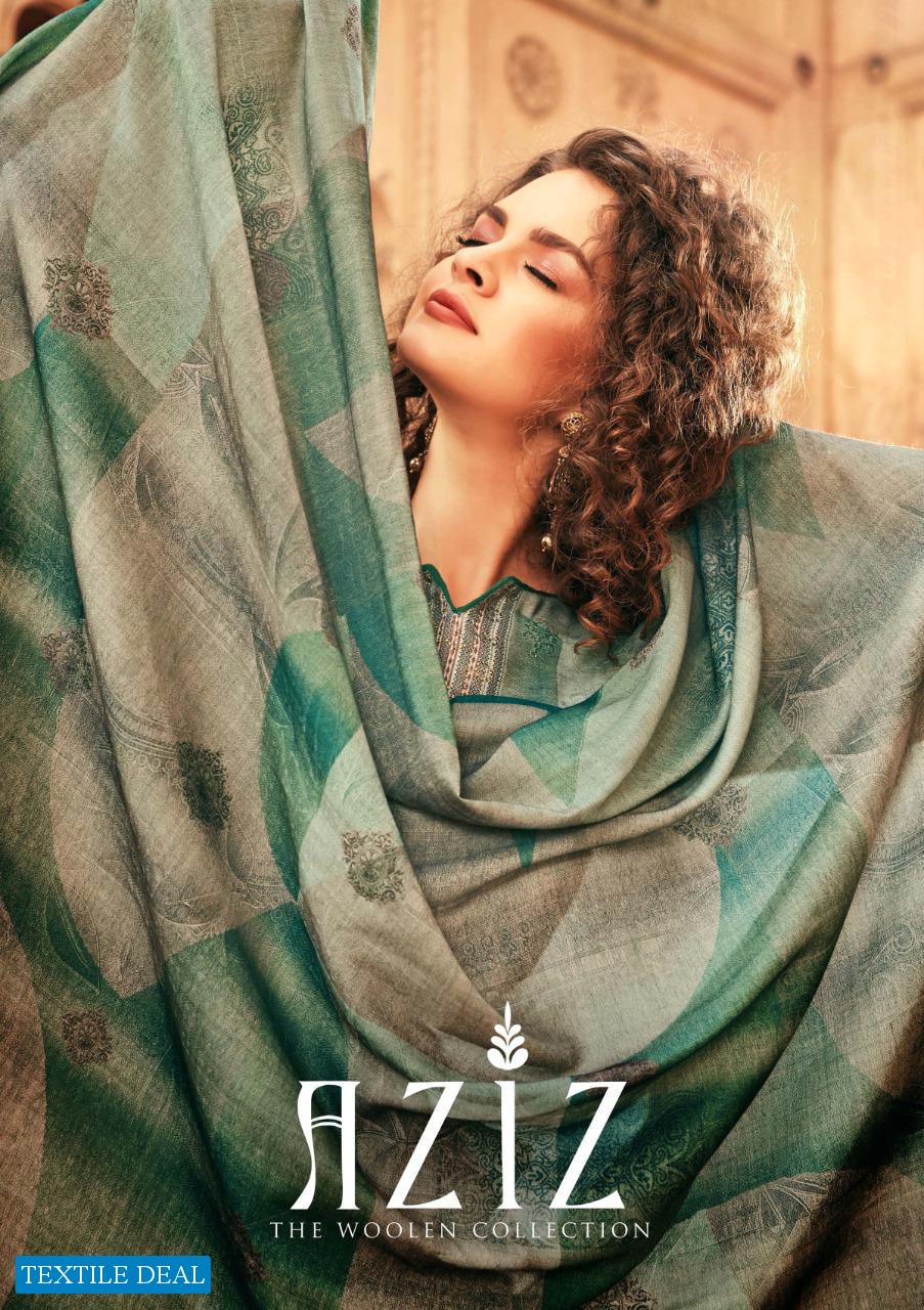 Sargam Aziz Wholesale Pure Pashmina Salwar Kameez