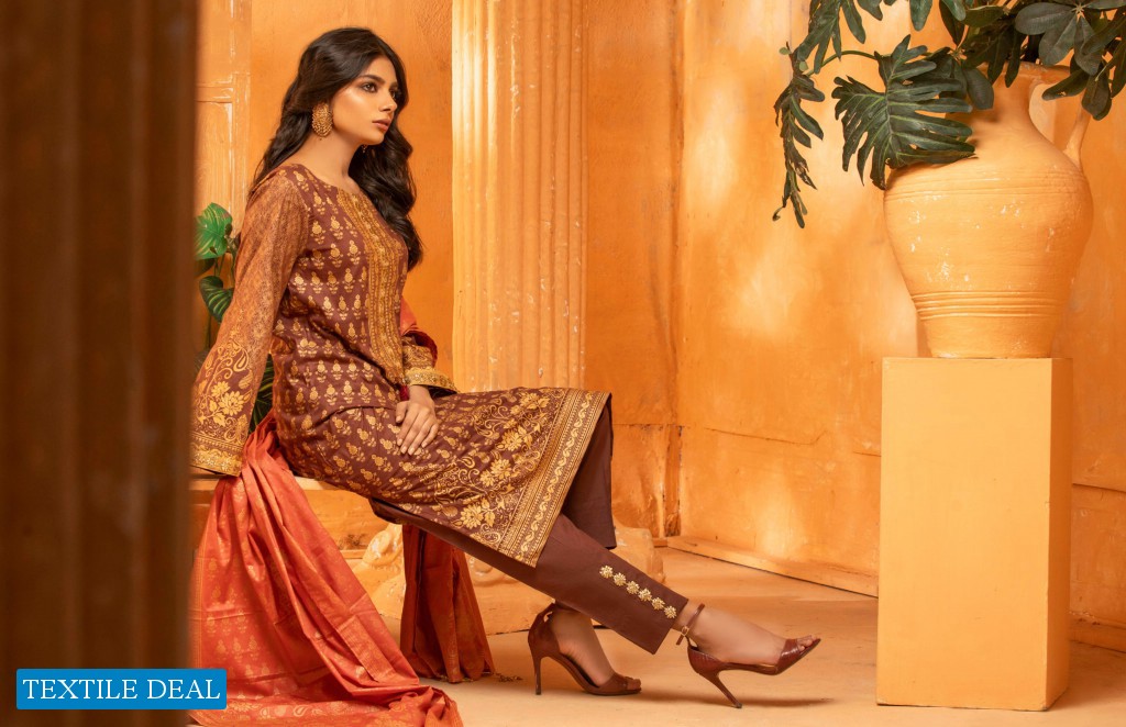 ZS Rangreza Banarasi Vol-2 Wholesale original Pakistani Dresses