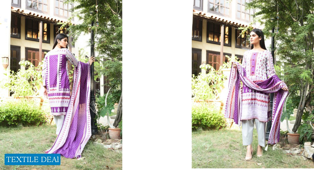 ZS Regalia Cotrina Exclusive 2 piece Wholesale Shopping Pakistani Ladies Collection