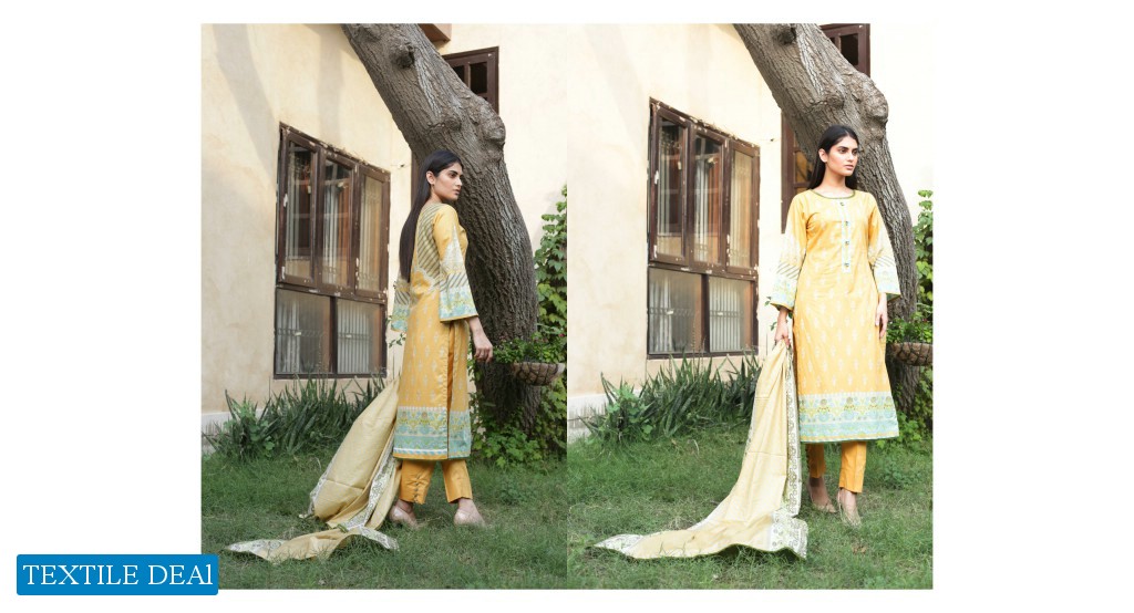 ZS Regalia Cotrina Exclusive 2 piece Wholesale Shopping Pakistani Ladies Collection
